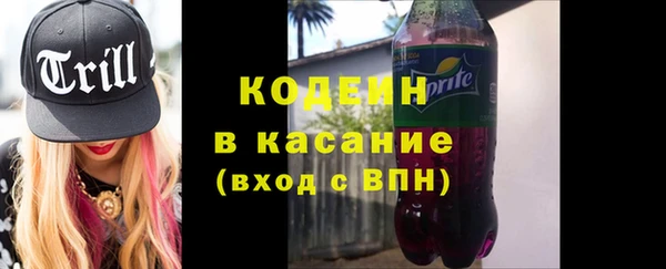 соль ск Бородино