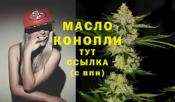соль ск Бородино