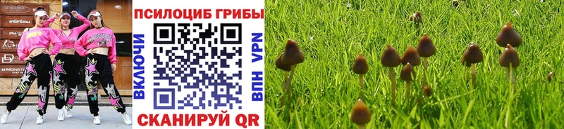 Галлюциногенные грибы Cubensis Северобайкальск